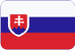 ISP Česká republika spol. s r.o. Slovensky